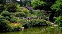 Garden pond and bridge.